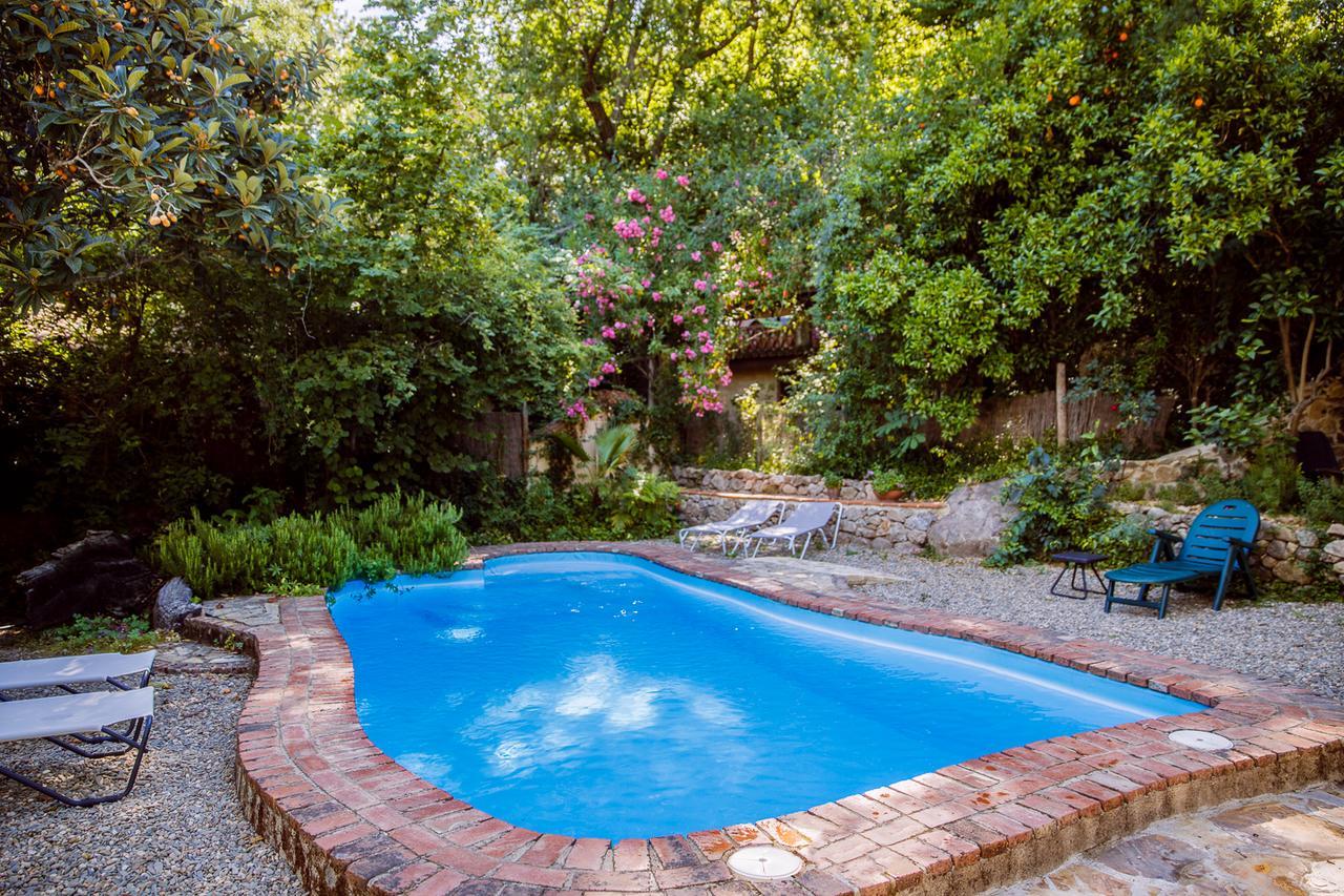 Casa Rural La Casa Del Bosque Navaconcejo Eksteriør billede